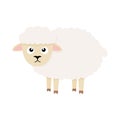 Cute sheep character. Cartoon farm animal. Vector illsutration Royalty Free Stock Photo